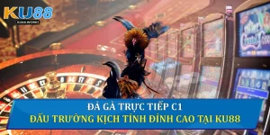 Đá gà trực tiếp C1